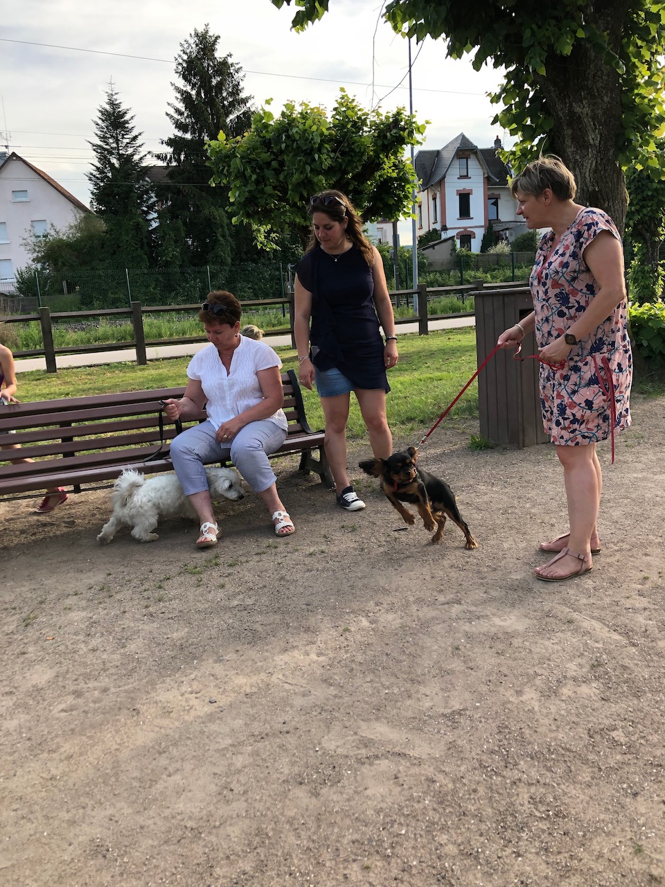 2019 - Repas